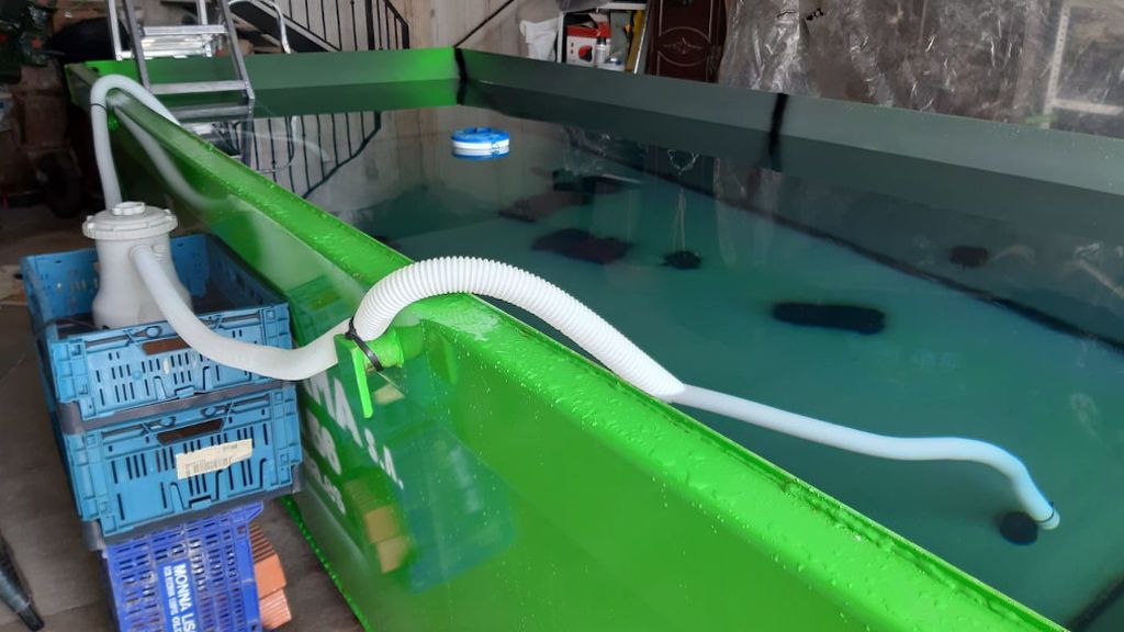 Triatleta piscina