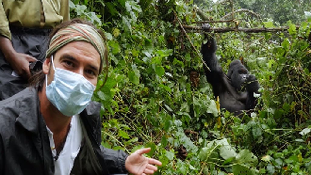 Un gorila de montaña corta el paso a José Antonio en plena selva