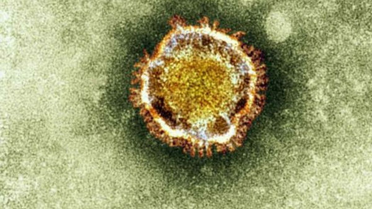 La genética podría explicar por qué algunos infectados de coronavirus están más graves que otros