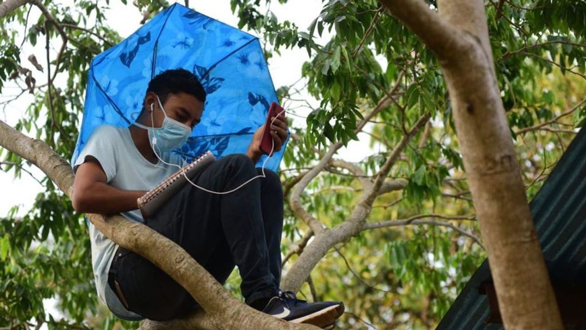 El universitario de El Salvador que se subía a un árbol para seguir sus clases ya tiene Internet en casa El universitario de El Salvador que se subía a un árbol para seguir sus clases ya tiene Internet en casa