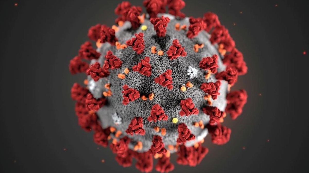 Científicos descubren las células humanas más vulnerables al cororonavirus