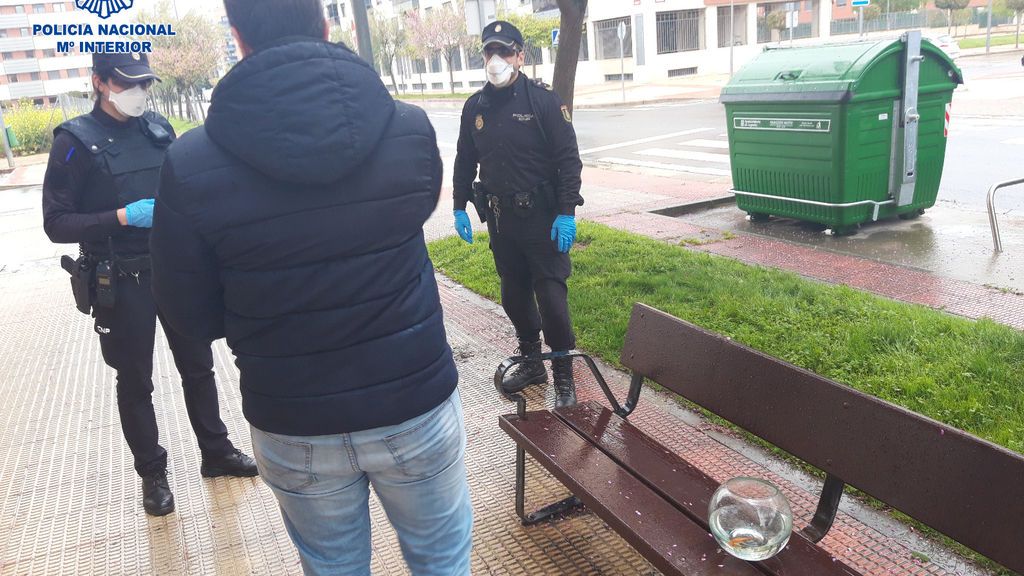 "Paseaba sus peces" a plena luz del día