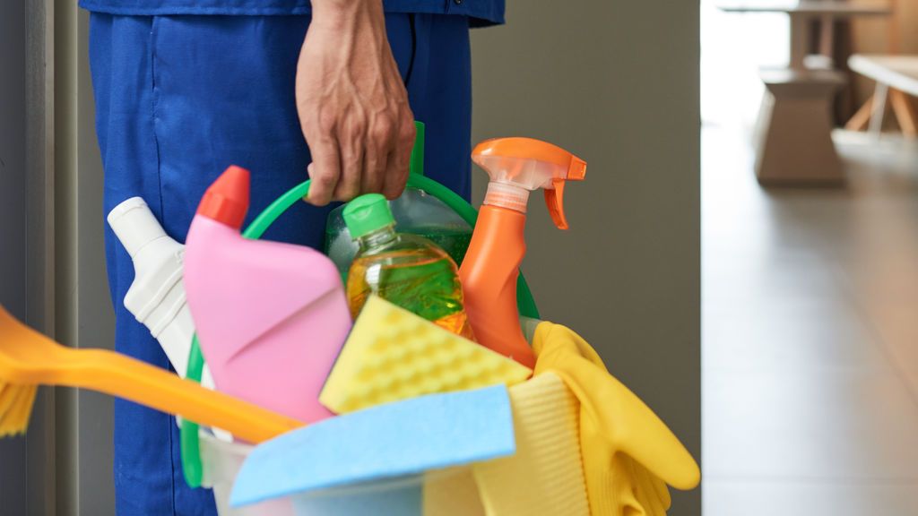 Peligros de la extrema limpieza en cuarentena: de mezclas nocivas de productos a envenenar mascotas