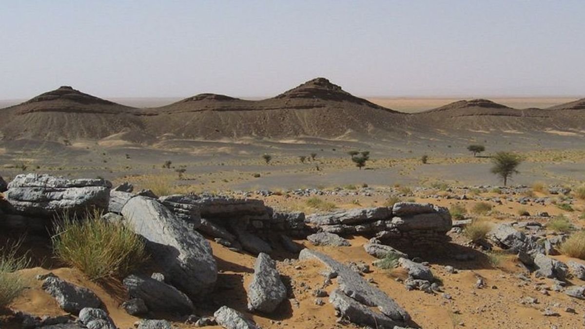 Paleontólogos encuentran "el lugar más peligroso" en la historia de la Tierra