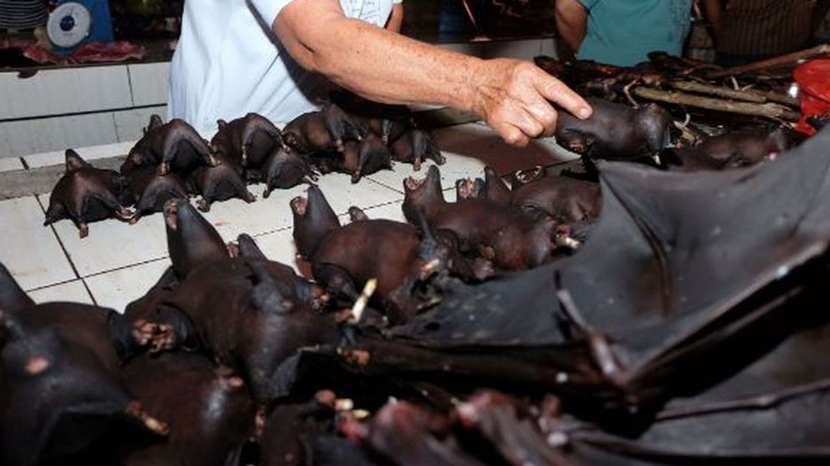 puesto de venta de murciélagos muertos en un mercado en Indonesia