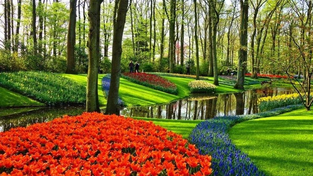 De los tulipanes de Holanda a los cerezos de Japón: viaje desde el sofá por los mejores jardines del mundo