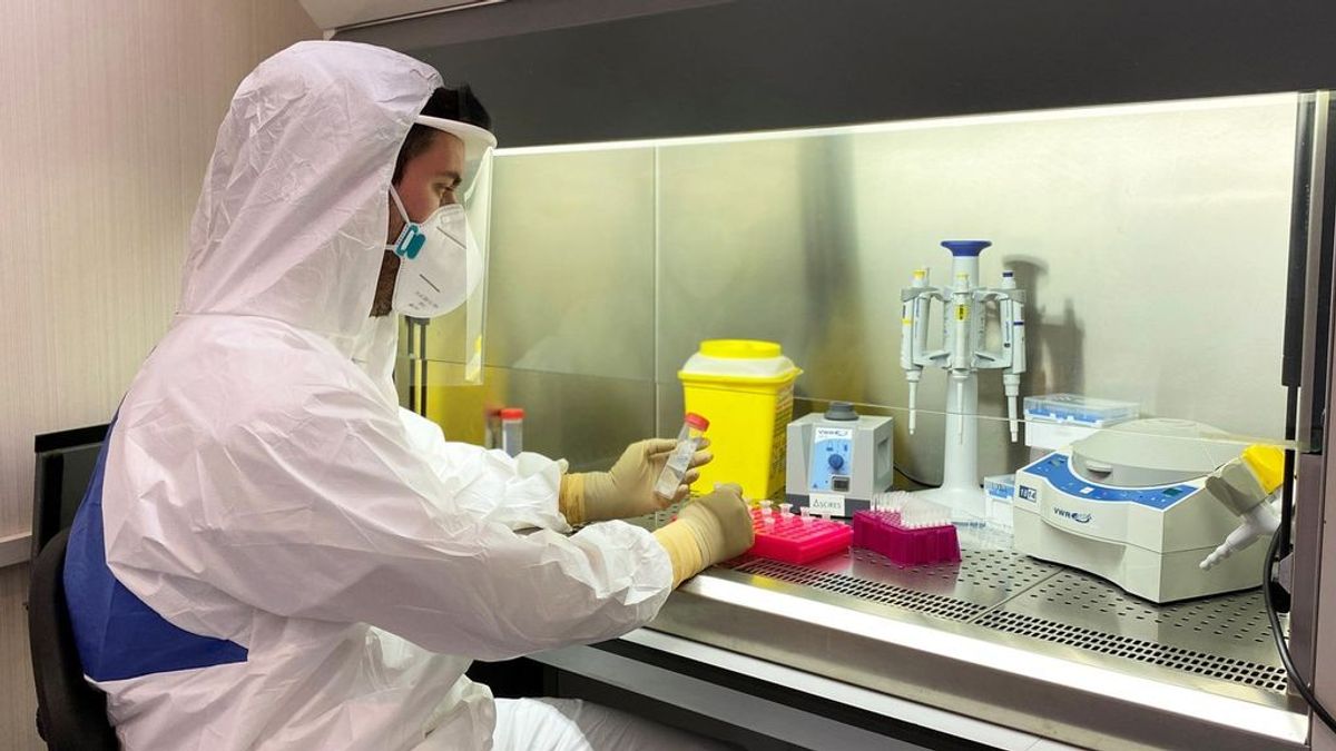 La polémica en torno a las PCR: científicos que se quejan, ciencia parada y baile de cifras La polémica en torno a las PCR: científicos que se quejan, ciencia parada y baile de cifras