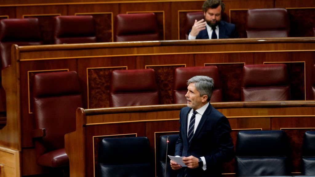 Vox y Bildu centran sus preguntas a Marlaska en los abusos del estado de alarma y policiales Vox y Bildu centran sus preguntas a Marlaska en los abusos del estado de alarma y policiales