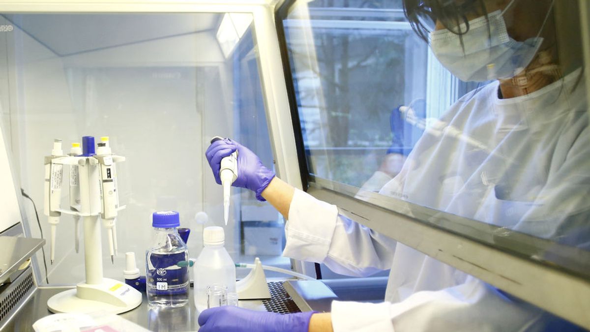 Esto es lo que los virólogos sabemos hasta hoy sobre el coronavirus SARS-CoV-2 Esto es lo que los virólogos sabemos hasta hoy sobre el coronavirus SARS-CoV-2