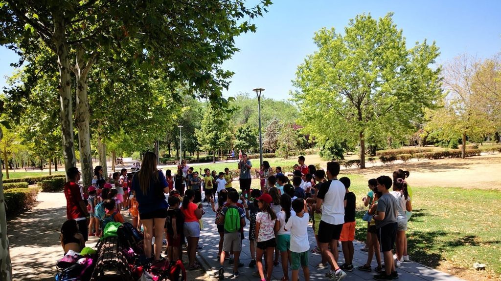 Campamentos de verano, en el aire: ¿podrán realizarse? ¿cómo serán? Campamentos de verano, en el aire: ¿podrán realizarse? ¿cómo serán?