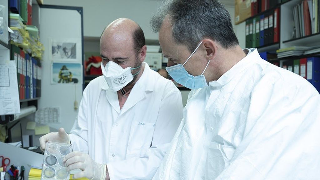 Investigadores del CSIC ensayarán con animales la vacuna contra el coronavirus la próxima semana Investigadores del CSIC ensayarán con animales la vacuna contra el coronavirus la próxima semana
