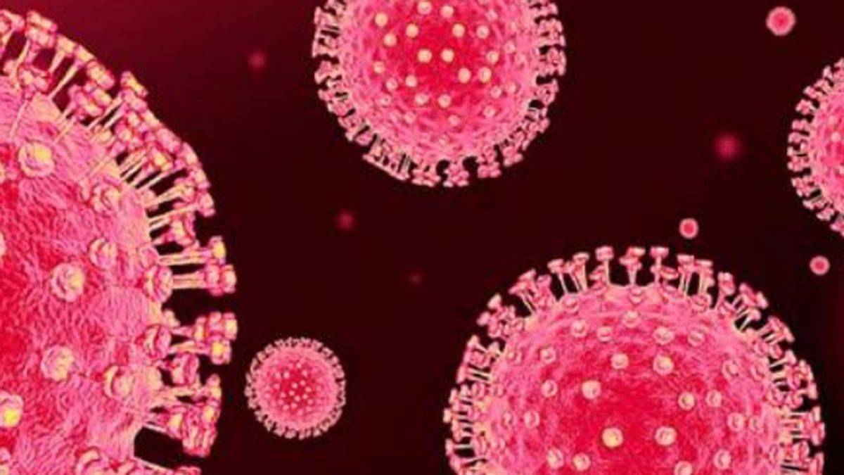 Un estudio demuestra por qué el coronavirus no es como la gripe y por qué es más letal