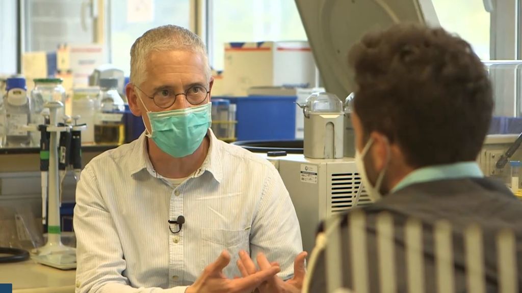 Todos los detalles de la vacuna del coronavirus