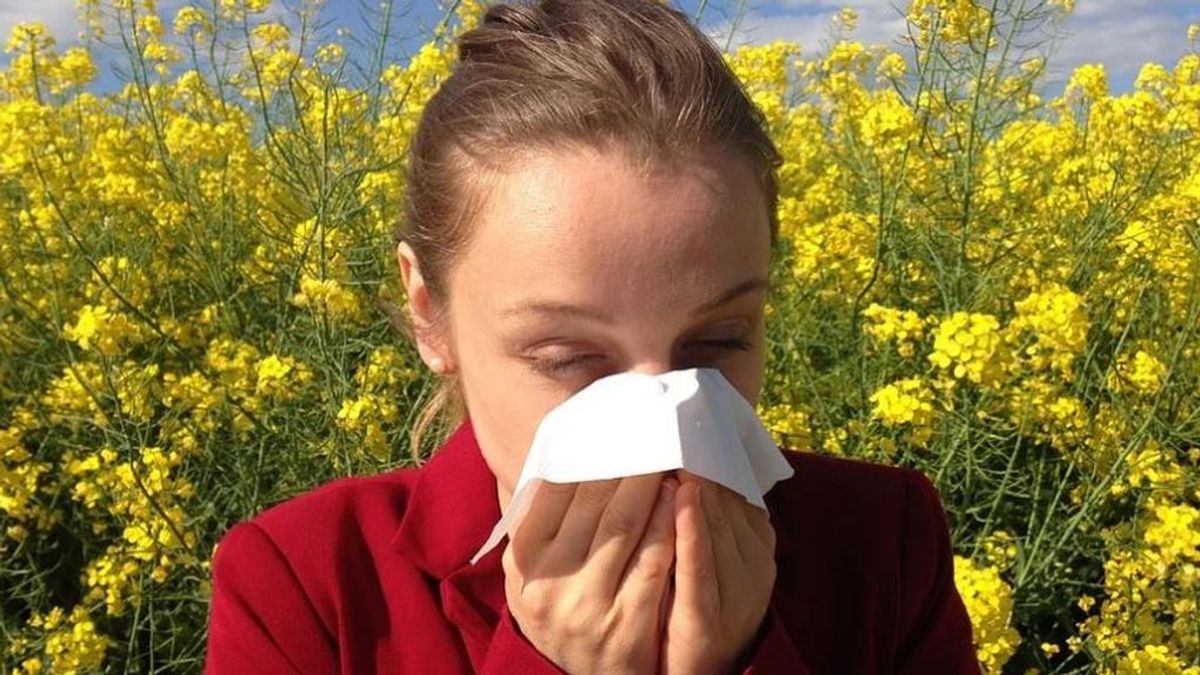 Paseos y alergias: consejos para proteger el cuerpo en la calle