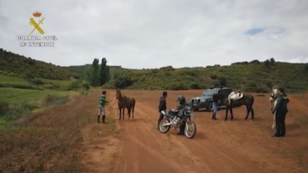 Jinetes huyendo a caballo en Navarra, entre los últimos sancionados en el estado de alarma Jinetes huyendo a caballo en Navarra, entre los últimos sancionados en el estado de alarma