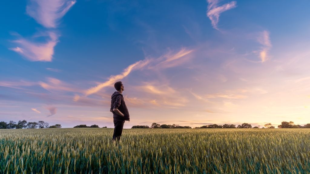 Viajar gratis y de manera sostenible es posible: todo sobre 'WWOOF', una forma distinta de entender el turismo
