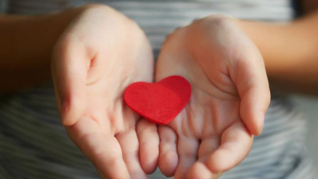Estos son los requisitos fundamentales para poder donar óvulos.