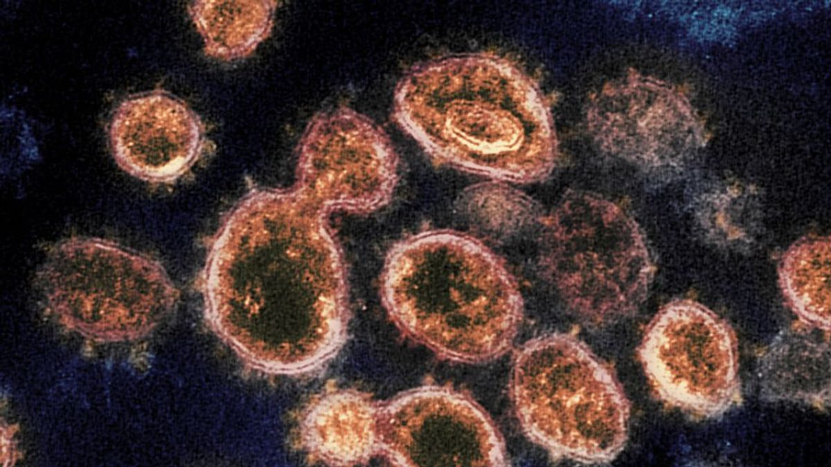 Un informe del Ejército prevé dos rebrotes más del coronavirus: el último en febrero de 2022