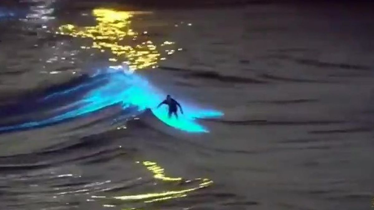 Surf sobre olas bioluminiscentes: el motivo por el que brillan tanto