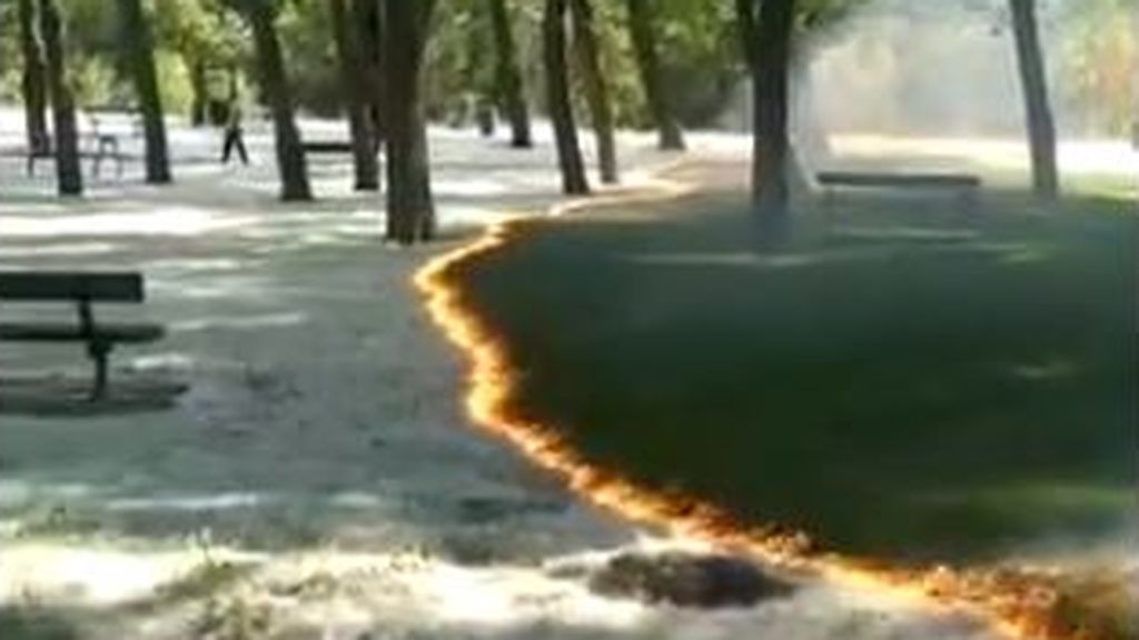 El incendio de pelusa de chopo de Calahorra: los expertos advierten que no debe provocarse y que es muy peligroso