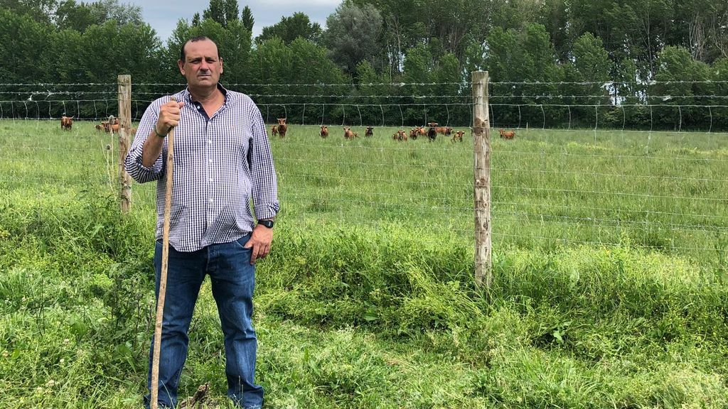 Juan José Laparte, ganadero de reses de lidia: “El 80% de los toros acabaran en el matadero” Juan José Laparte, ganadero de reses de lidia: “El 80% de los toros acabaran en el matadero”