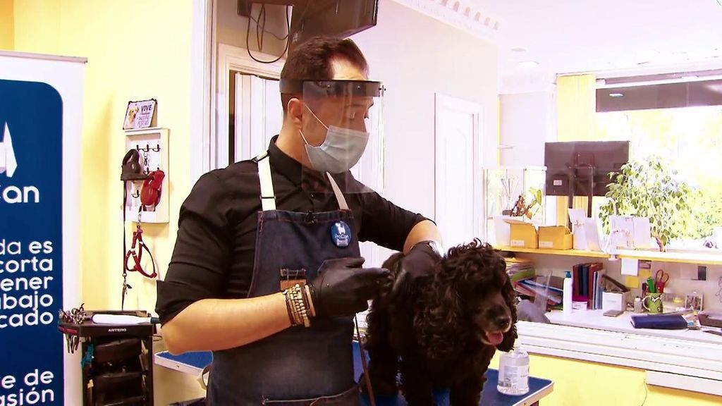 Hugo Pesquera nos muestra las medidas de prevención frente al coronavirus en su peluquería canina