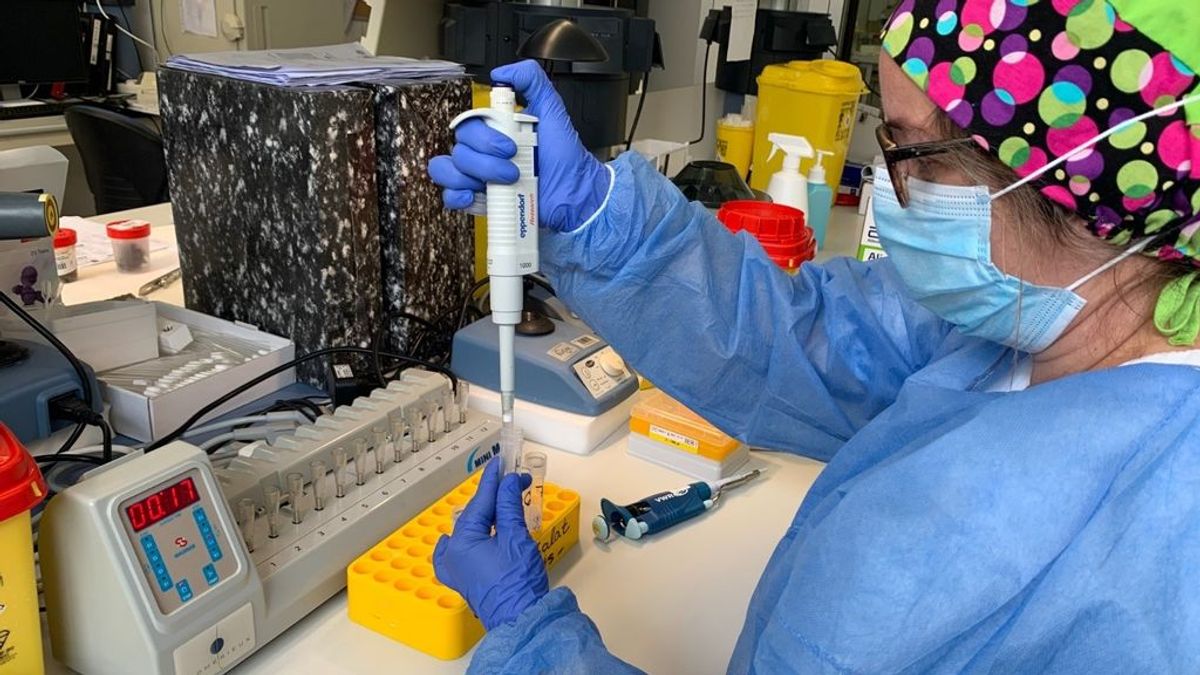 España supera las 1,6 millones pruebas diagnósticas PCR realizadas