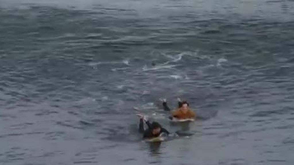 Un tiburón ataca a un turista francés que practicaba surf en Australia