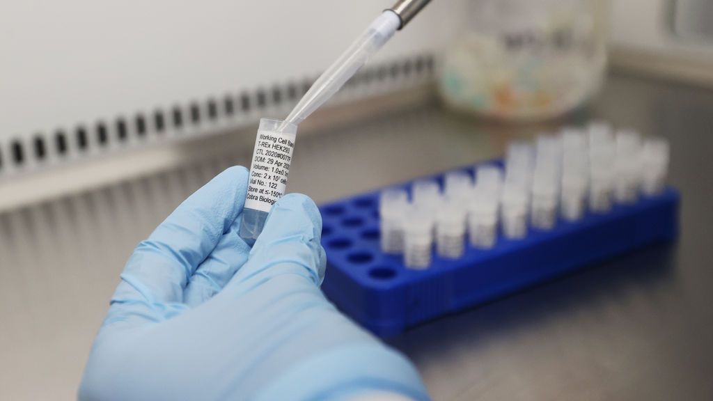 La multinacional Johnson & Johnson promete 1.000 millones de vacunas contra el coronavirus el año que viene La multinacional Johnson & Johnson promete 1.000 millones de vacunas contra el coronavirus el año que viene