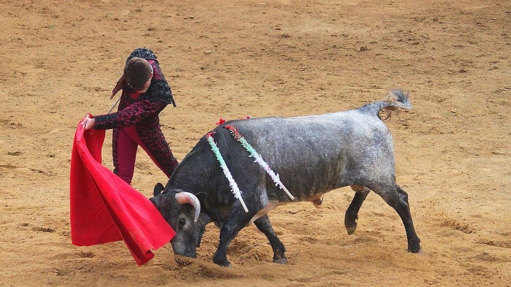 Investigan una novillada que se celebró en fase 0 en Segovia, descubierta por las redes sociales Investigan una novillada que se celebró en fase 0 en Segovia, descubierta por las redes sociales