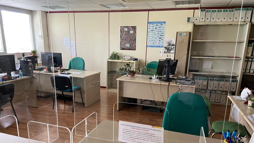 Arranca la vuelta al trabajo: oficinas al 50% de ocupación y nuevos horarios Arranca la vuelta al trabajo: oficinas al 50% de ocupación y nuevos horarios