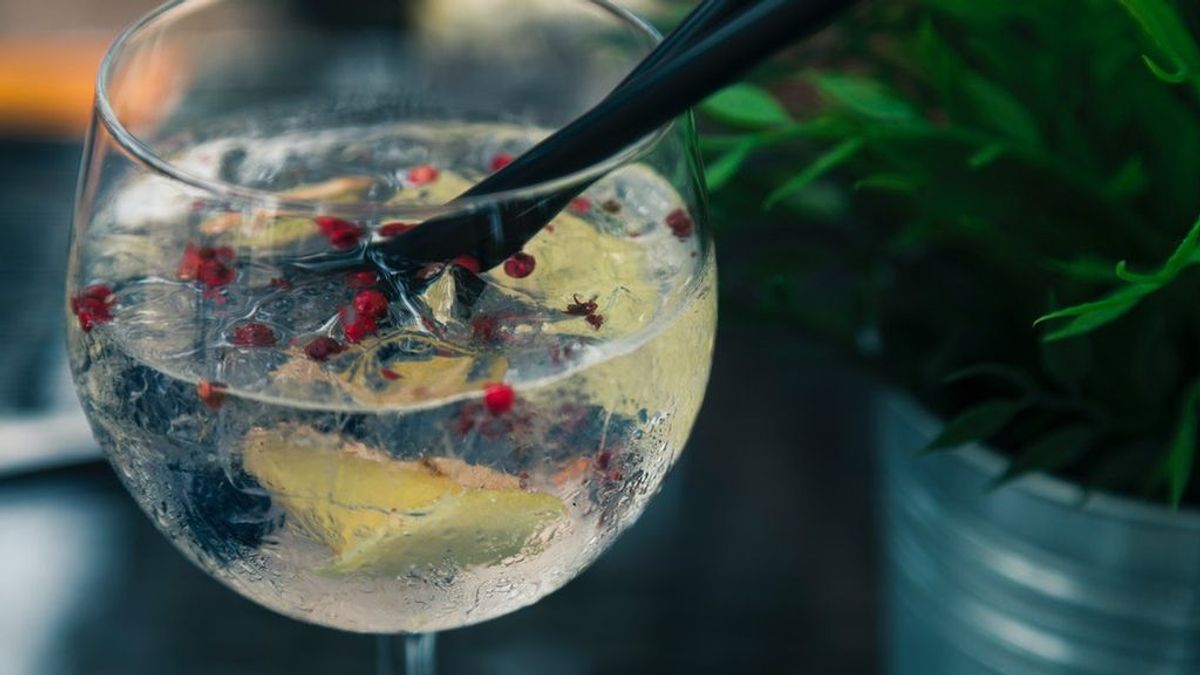 Independientemente de como te guste, 5 cosas que no deberías olvidar en tu gin tonic