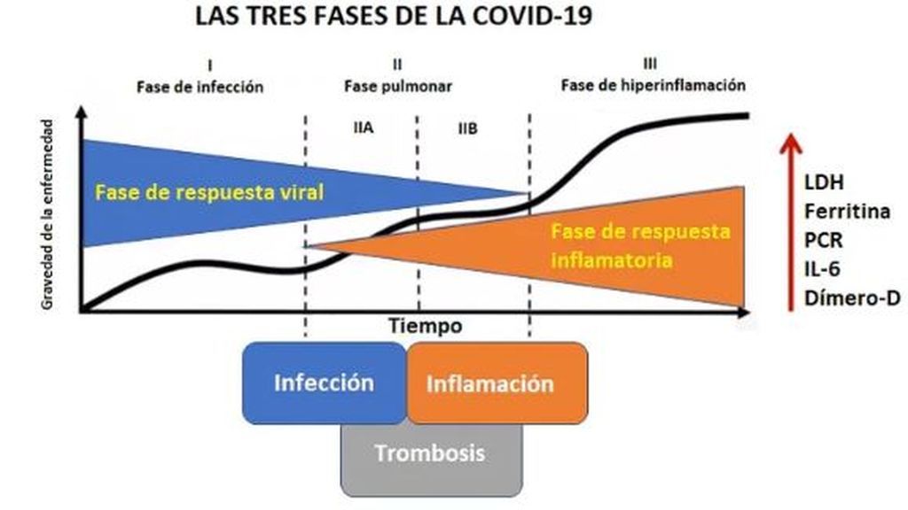 Las tres fases de la COVID-19