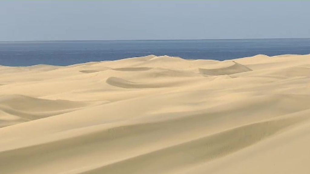 Maspalomas, resplandeciente sin turistas: el resurgir de las dunas gracias a la cuarentena