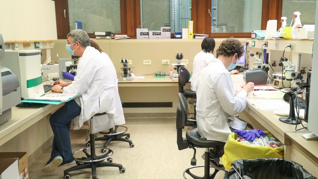 Las fases por las que tiene que pasar la vacuna del Covid-19 Las fases por las que tiene que pasar la vacuna del Covid-19