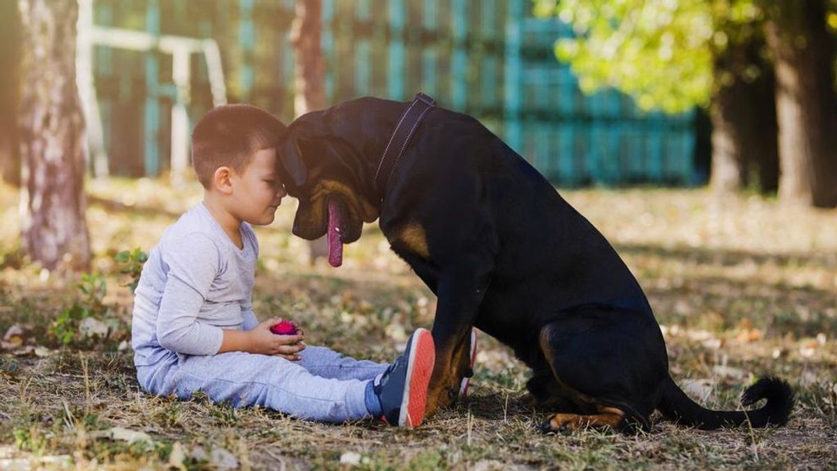Estos son los beneficios de que los niños crezcan con perros.