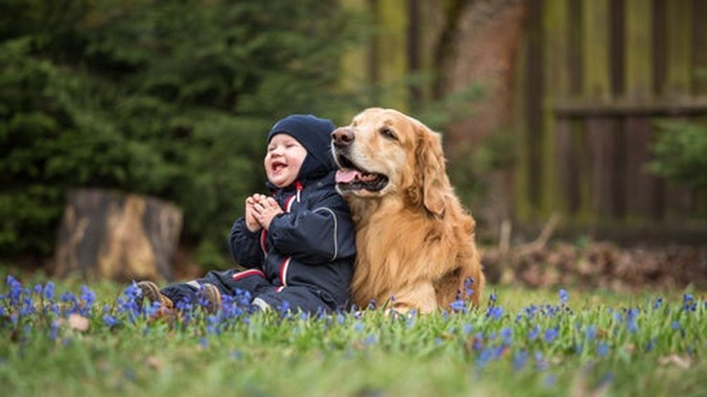 Estos son los beneficios que las mascotas proporcionarán a tus hijos.