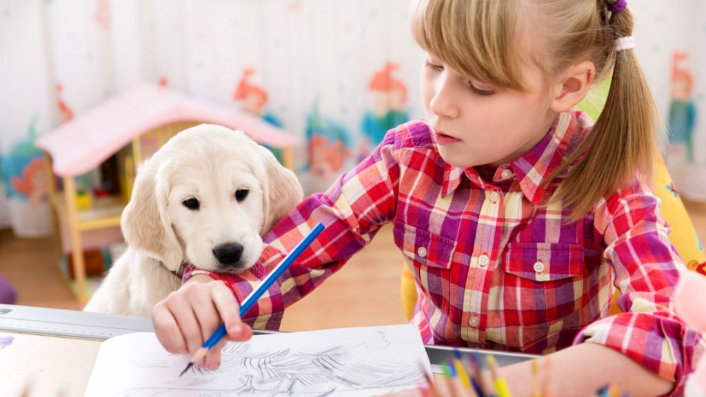 Los perros y su relación con niños con TDA.