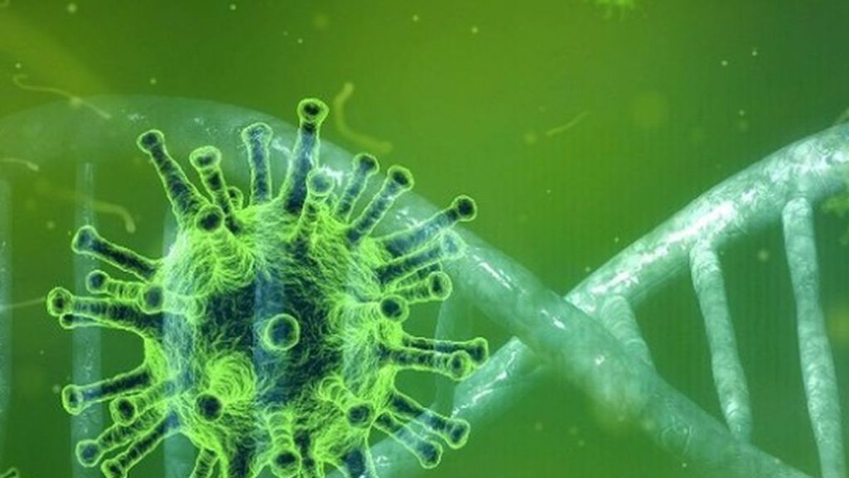 Primer caso en España de un enfermo de coronavirus en Ibiza que ha vuelto a dar positivo tras curarse