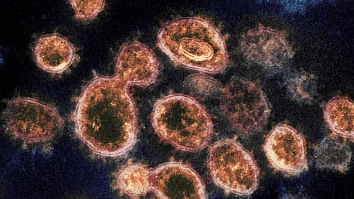 Un estudio desvela que cuatro de cada diez personas son inmunes al coronavirus sin habelo pasado