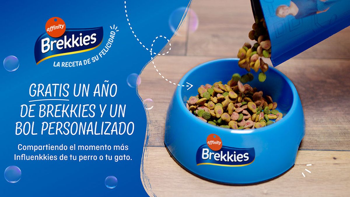 Con Brekkies, la foto de tu perro o gato puede tener premio: participa y gana un año de Brekkies gratis