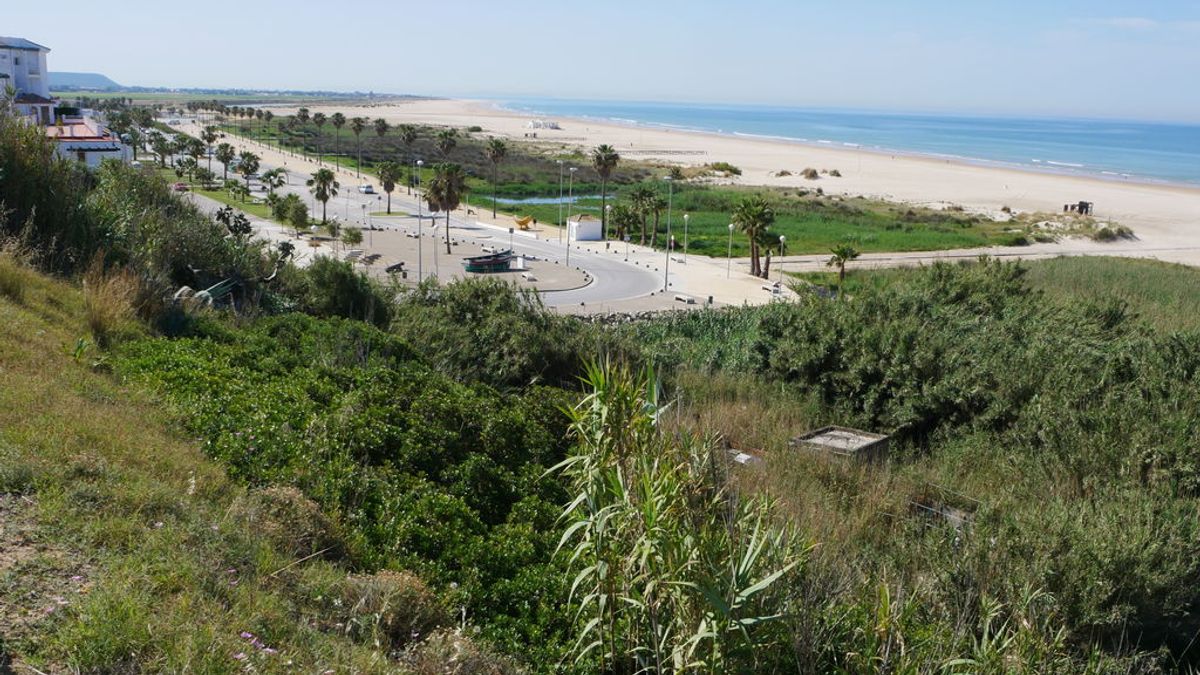 Sólo para gaditanos: hasta el final de la desescalada, los habitantes de Cádiz disfrutan a solas de sus playas