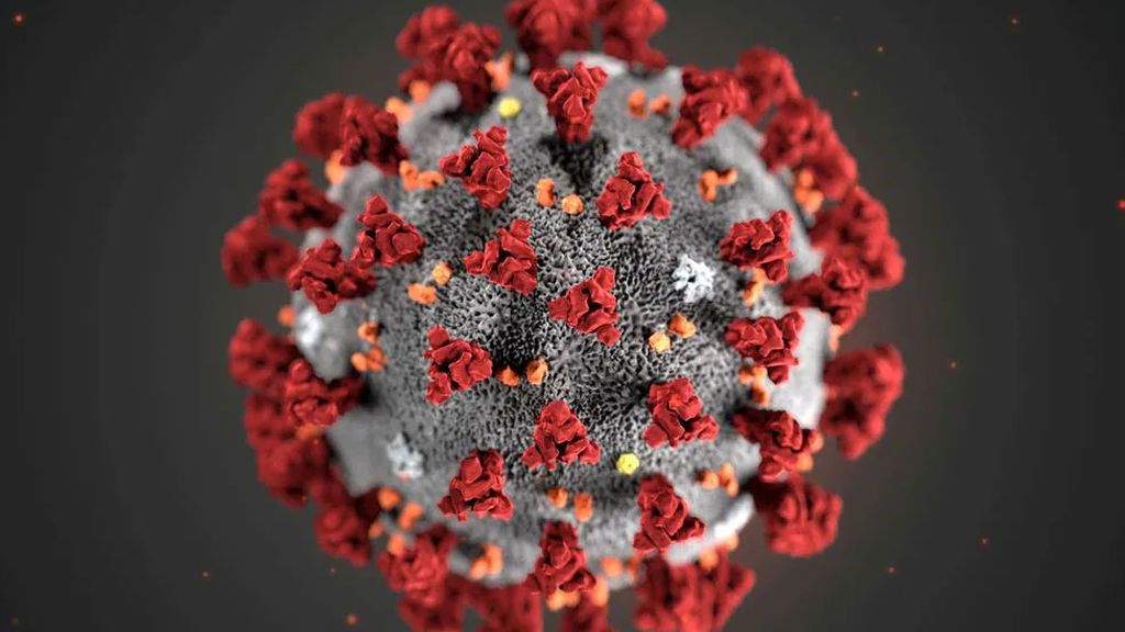 Recreación de la morfología del coronavirus por el CDC de Estados Unidos.
