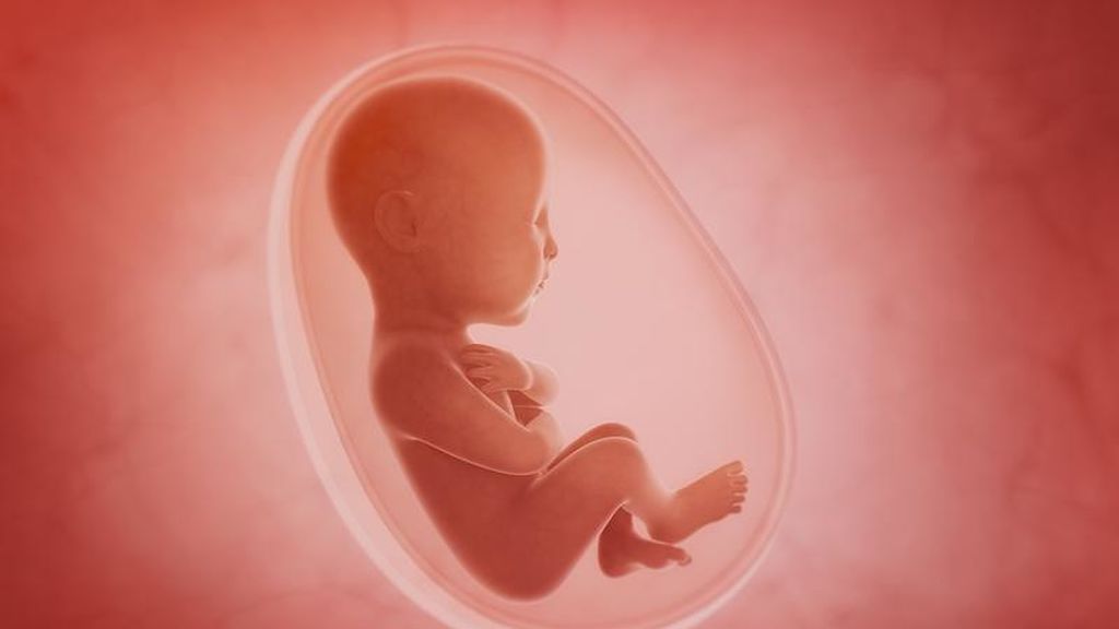¿Por qué se produce el hipo fetal?