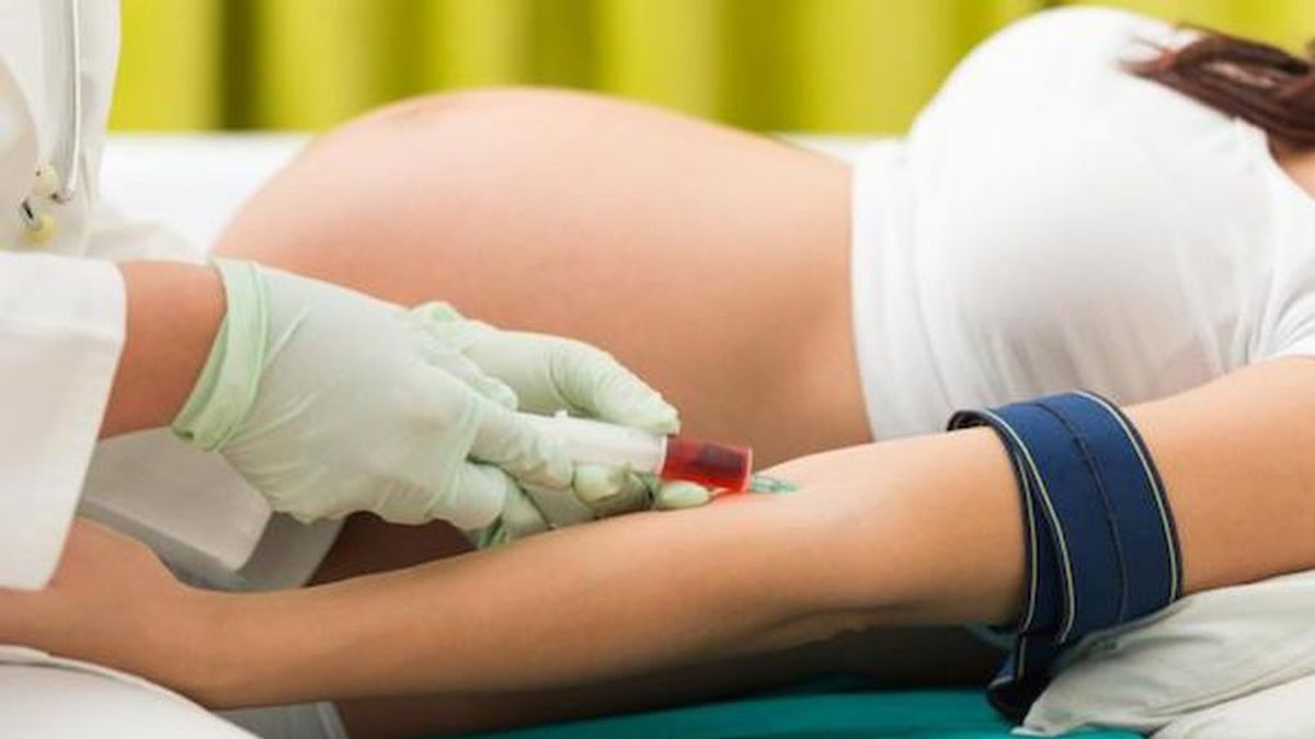 Analísis de sangre en el embarazo, ¿por qué son importantes?