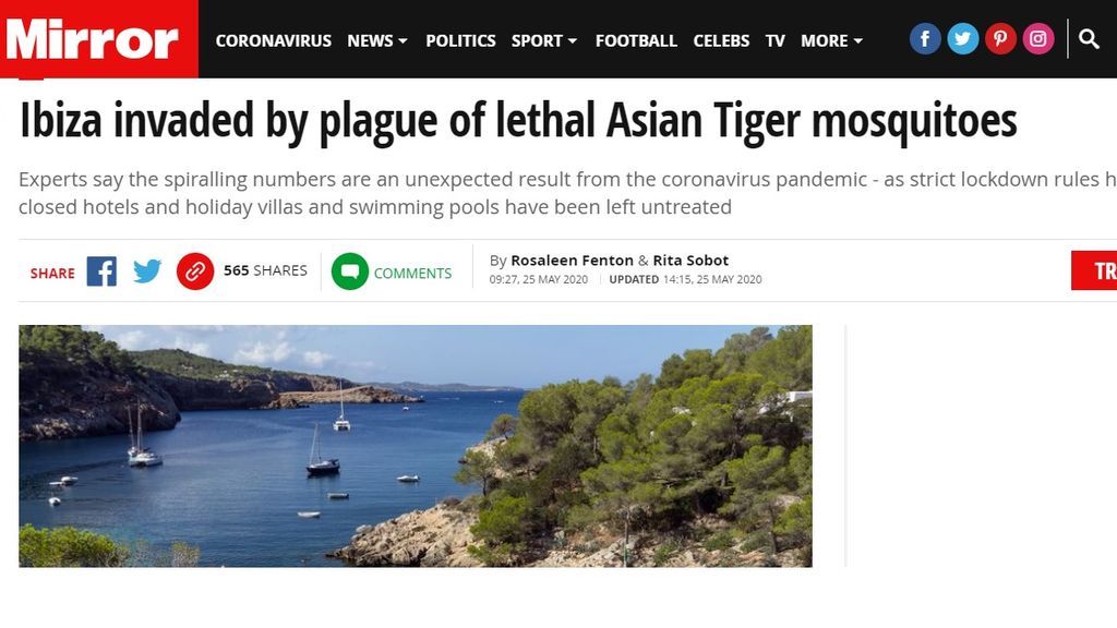 plague