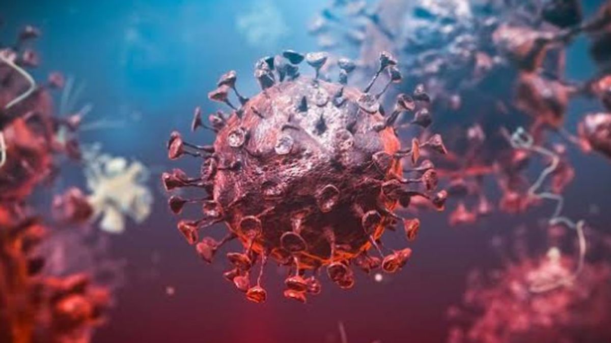 El CSIC lidera un proyecto antiviral para ganar la batalla a la tormenta de citoquinas y acabar con el coronavirus