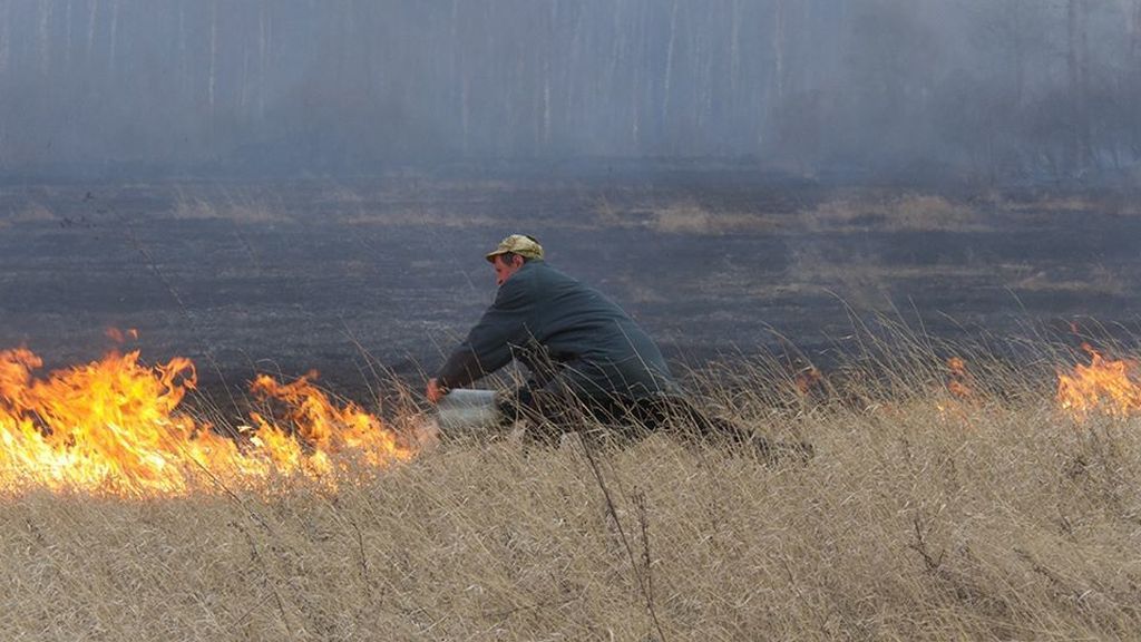 Incendios zombi: el nuevo fenómeno en Siberia en el que las brasas quedan activas debajo de la nieve