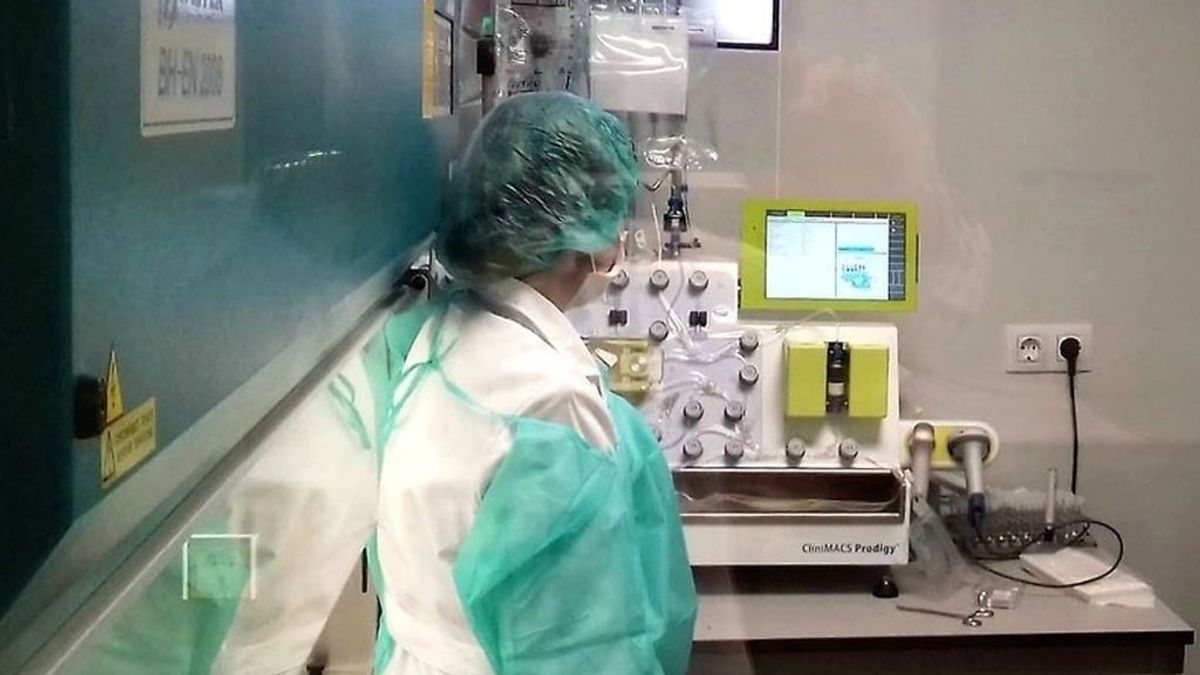 El trasplante de médula ósea crece en España un 50% en diez años El trasplante de médula ósea crece en España un 50% en diez años