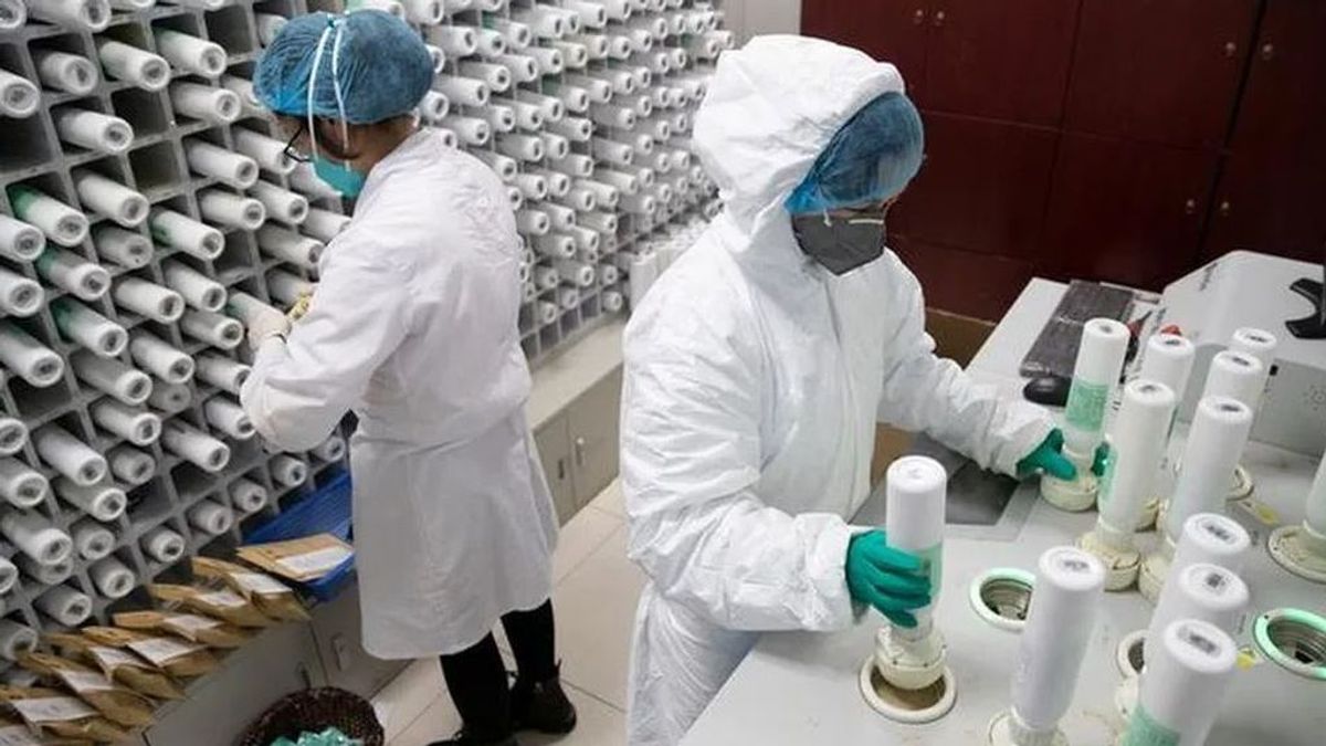 Una segunda gran ola de coronavirus en China es improbable, según el mayor experto del país